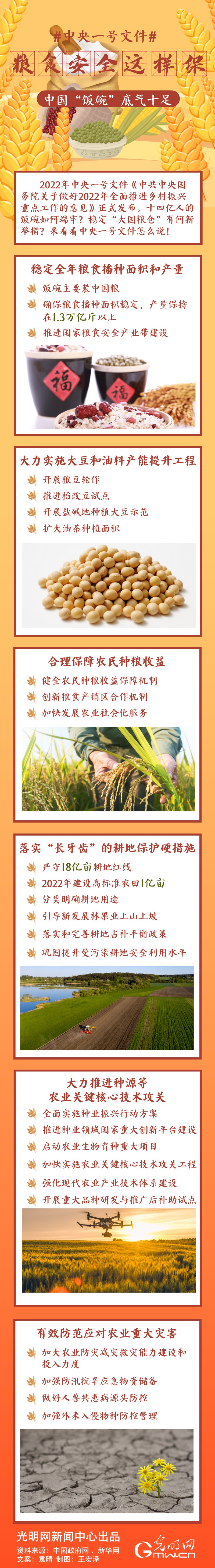 中央一號(hào)文件｜糧食安全這樣保，中國(guó)“飯碗”底氣十足