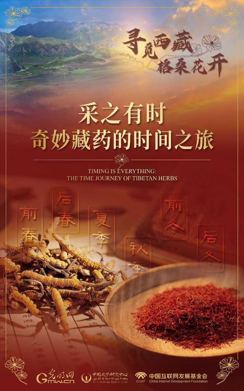 【尋覓西藏·格?；ㄩ_】采之有時(shí)：奇妙藏藥的時(shí)間之旅