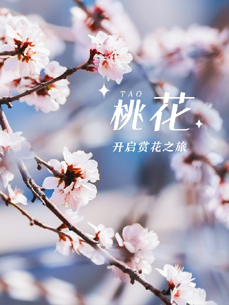 追花指南第三期！別等了 今天就去和桃花撞個滿懷