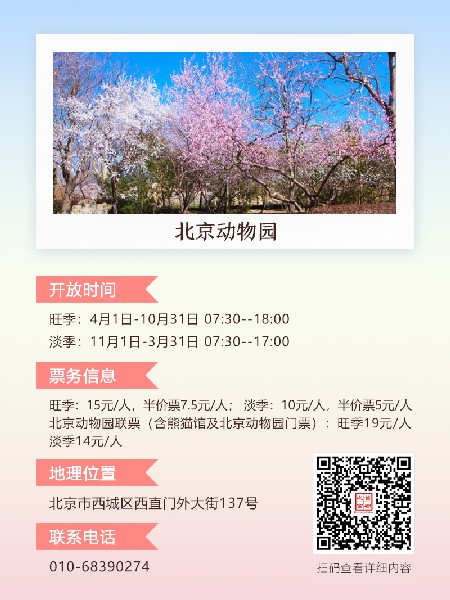 追花指南第三期！別等了 今天就去和桃花撞個滿懷