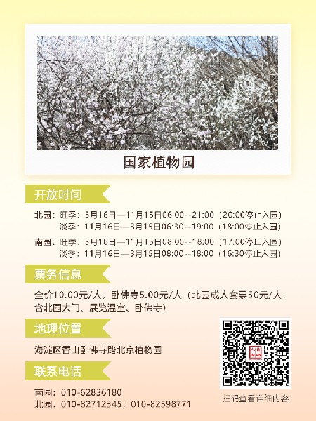 追花指南第六期！杏花雨 楊柳風(fēng) 北京最美的杏花在這里