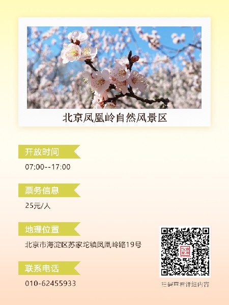 追花指南第六期！杏花雨 楊柳風(fēng) 北京最美的杏花在這里
