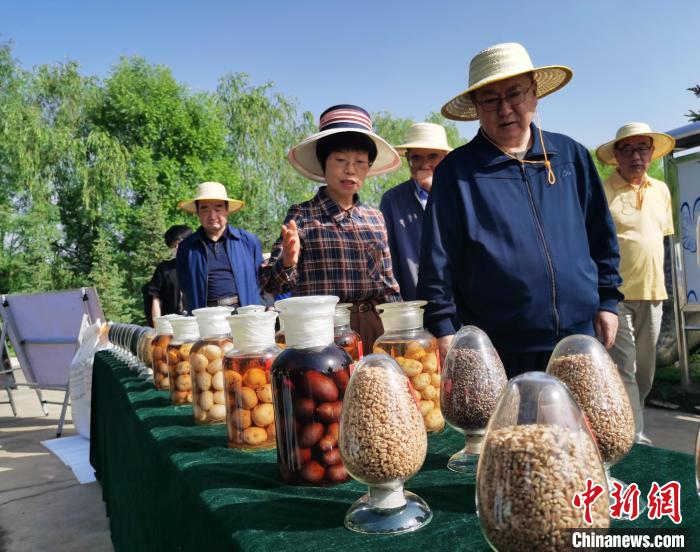 青海：利用冷涼氣候，打造高原綠色種業(yè)輸出地