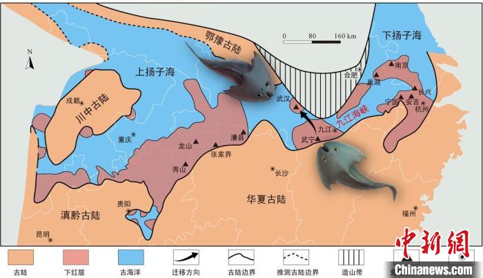 華南地區(qū)志留紀(jì)早期古地理圖和盔甲魚類化石產(chǎn)地(山顯任改自陳旭、戎嘉余，1996；戎嘉余等，2012) 中科院古脊椎所 供圖