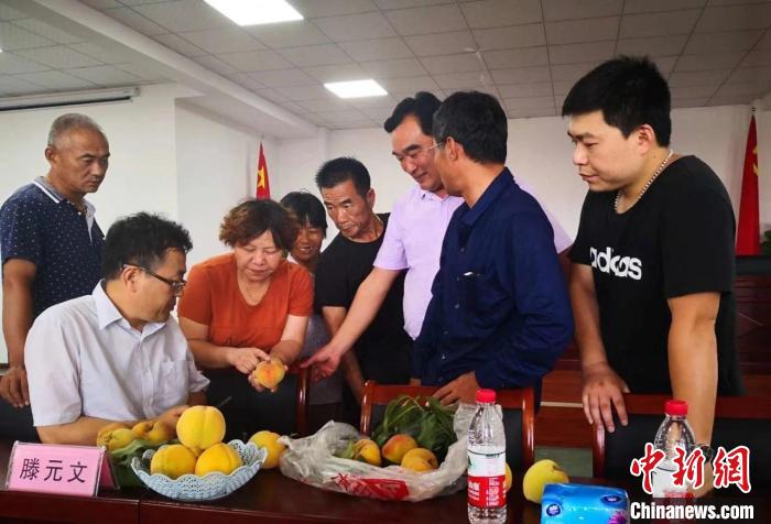 民進浙江省委會為三里橋黃桃種植戶送技術、送指導?！〖紊平y(tǒng)戰(zhàn) 供圖