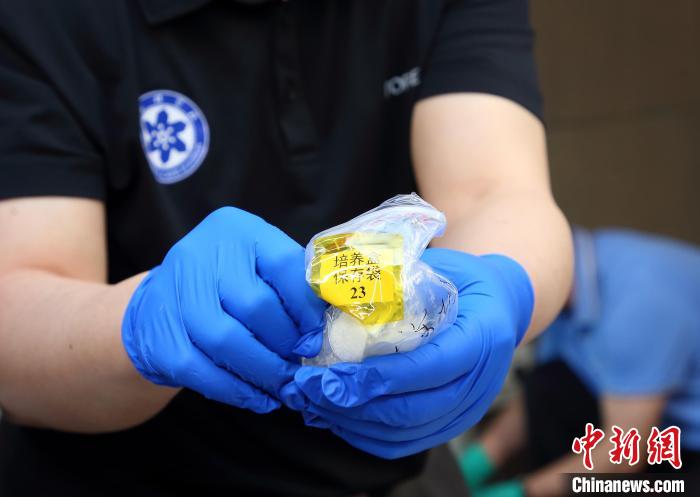 隨神舟十五號返回地面的空間科學實驗樣品?！≈锌圃嚎臻g應用中心 供圖