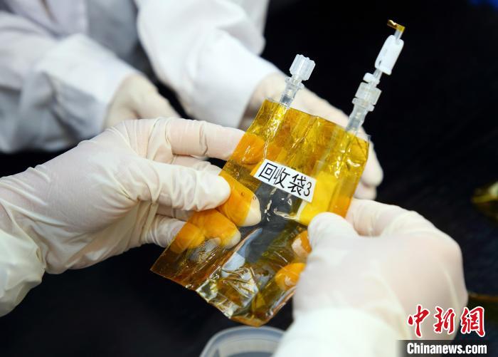 隨神舟十五號返回地面的空間科學實驗樣品?！≈锌圃嚎臻g應用中心 供圖