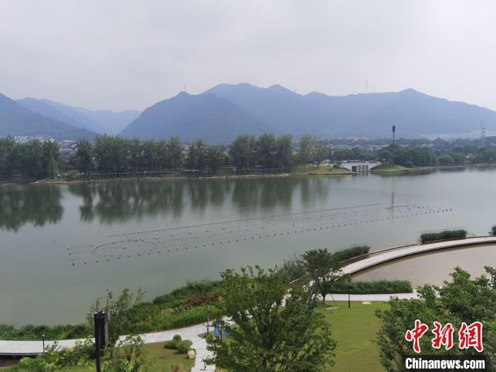 兩岸媒體共探杭州亞運會“綠”在何處？