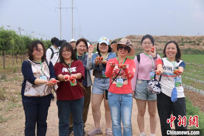 圖為臺胞體驗大美內(nèi)蒙古?！⊥袐I供圖