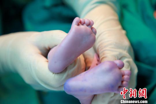 資料圖。簡(jiǎn)文楊 攝