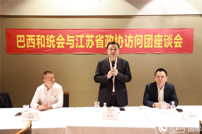 江蘇省政協(xié)副主席楊岳（中）在座談會上致辭。人民網(wǎng)記者 陳海琪攝