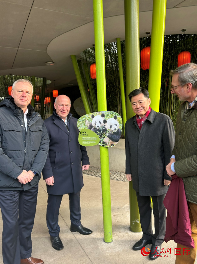 中國駐德國大使吳懇（右二）、柏林市長韋格納（左二）、動物園園長克尼里姆（右一）和監(jiān)事會主席布魯克曼（左一）共同為“夢想”“夢圓”大熊貓紀(jì)念牌揭幕。人民網(wǎng)記者 徐馨攝
