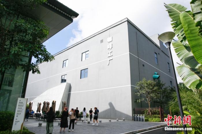 圖為采訪團(tuán)一行參觀咖啡工廠。 曹淼欣 攝