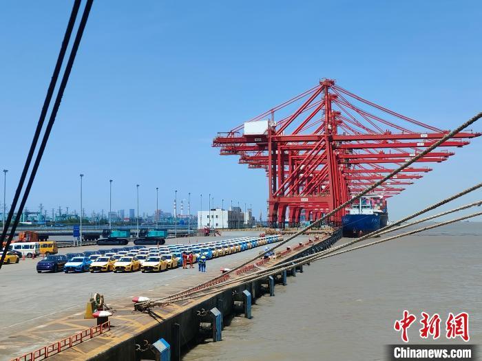 資料圖：國(guó)產(chǎn)新能源車在上海外高橋港區(qū)海通碼頭“整裝待發(fā)”?！∑址?攝