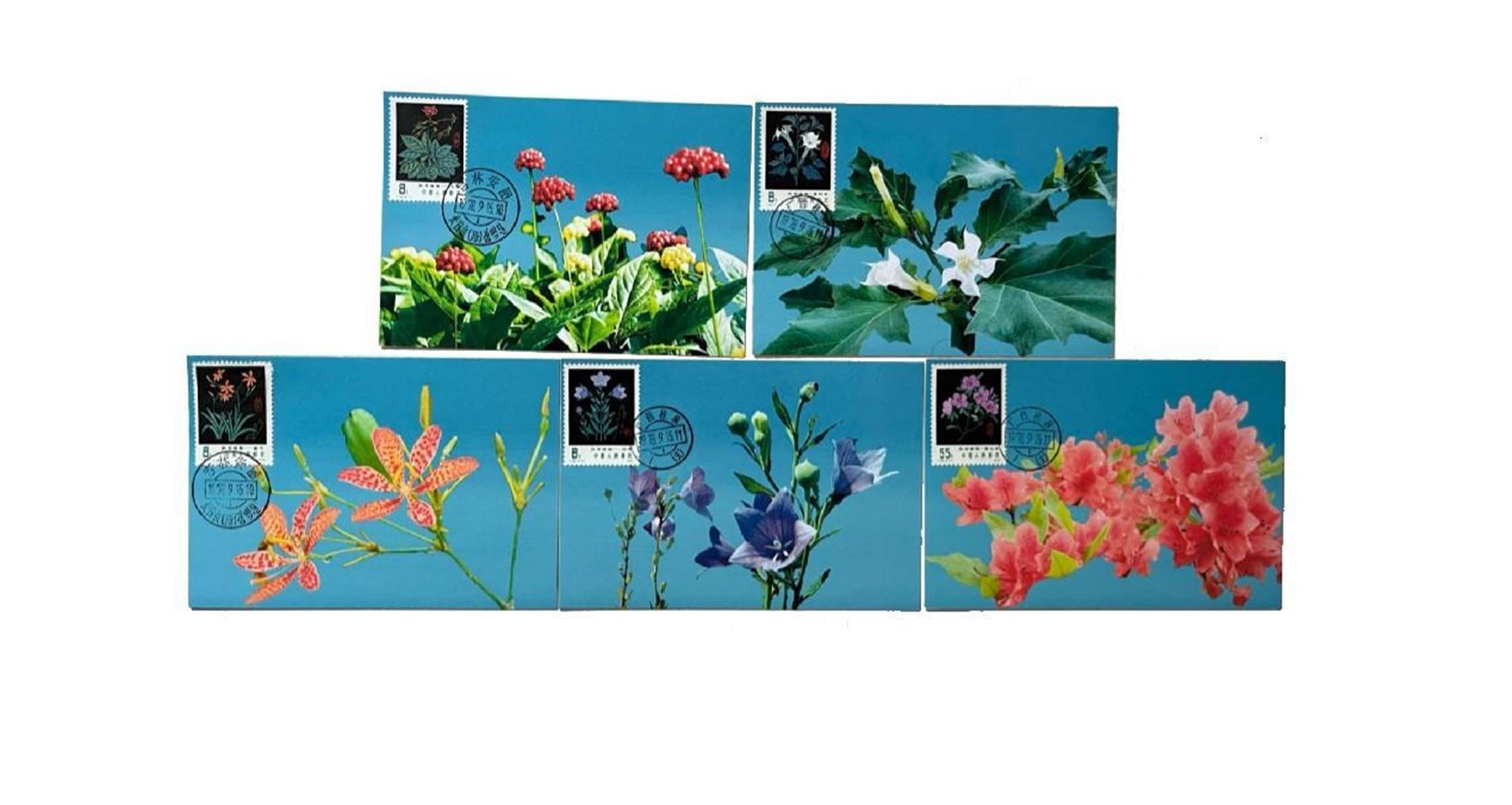 首套藥用植物極限片。第七屆阿聯(lián)酋集郵展主辦方供圖