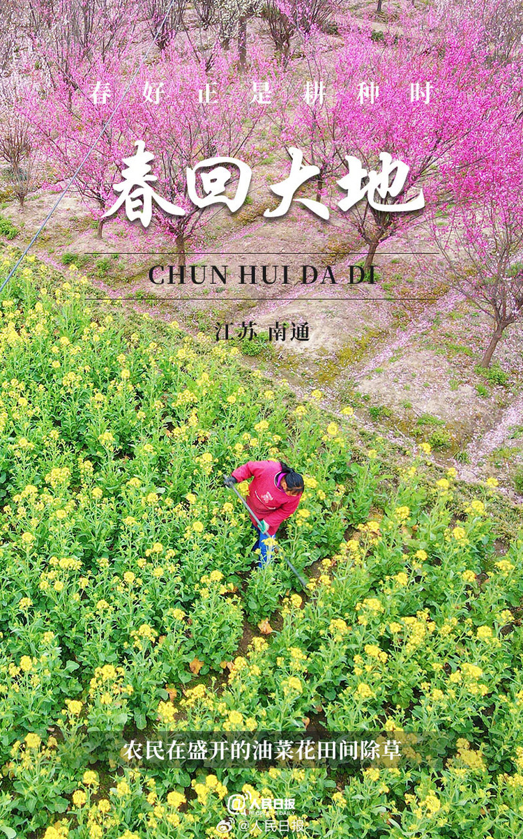 生機(jī)盎然！用課本封面打開春耕畫卷