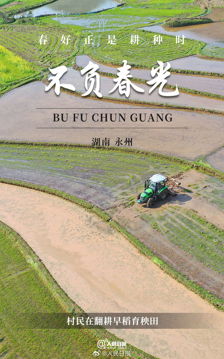 生機(jī)盎然！用課本封面打開春耕畫卷