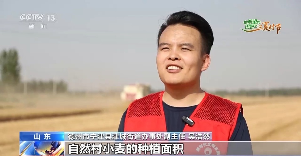 “三夏”生產(chǎn)思維導(dǎo)圖安排上了！還有政府大院等你來(lái)“曬”