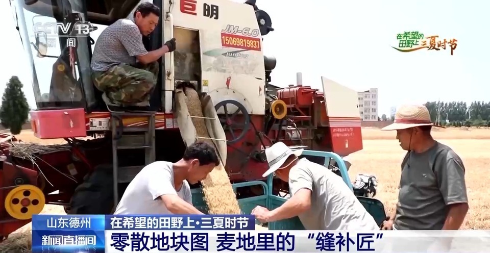“三夏”生產(chǎn)思維導(dǎo)圖安排上了！還有政府大院等你來(lái)“曬”