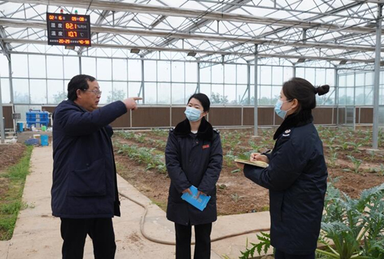 稅務(wù)干部走進常德市西洞庭管理區(qū)的朝鮮薊種植基地，宣傳稅費優(yōu)惠政策，助力農(nóng)企搶農(nóng)時、抓春耕、穩(wěn)增長。吳家豪攝
