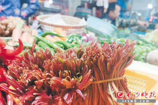 　　農(nóng)貿(mào)市場里鮮嫩的香椿?！　【鶠殚L沙晚報全媒體記者 劉捷萍 攝