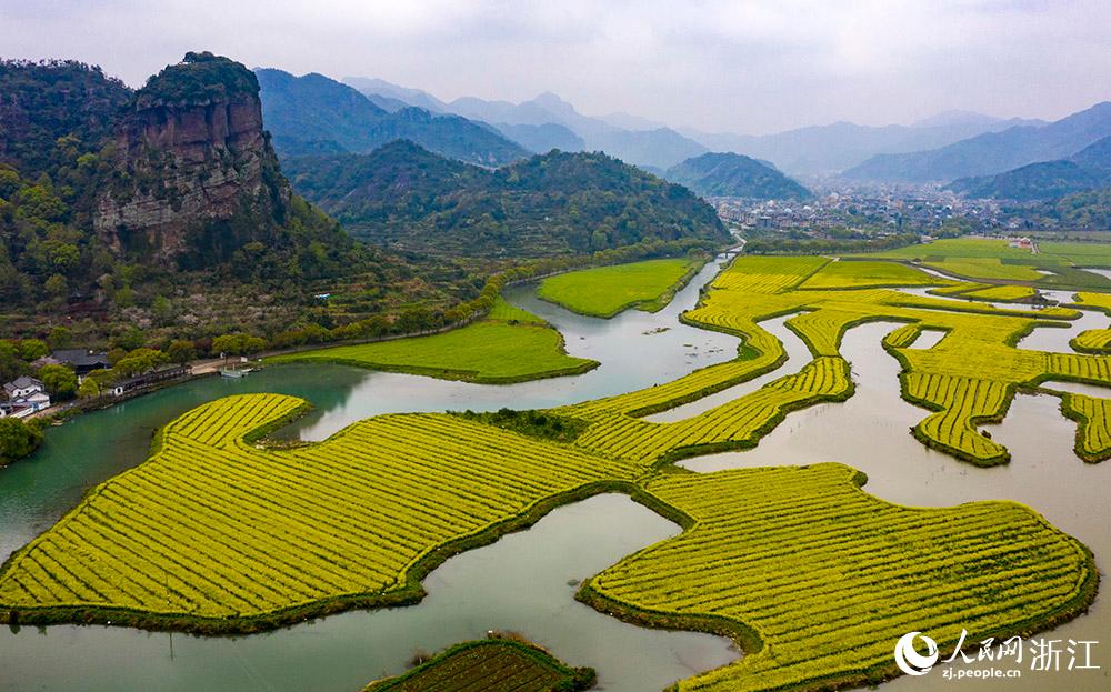 3月28日，航拍浙江省臨海市桃渚鎮(zhèn)桃江十三渚盛開(kāi)的油菜花景色。人民網(wǎng) 章勇濤攝