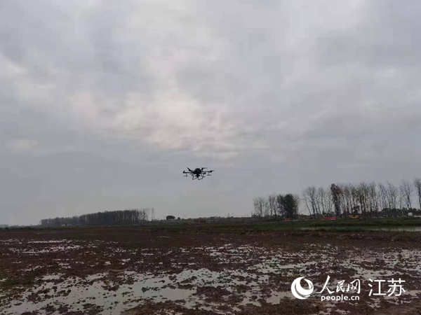 勝利圩高標(biāo)準(zhǔn)農(nóng)田進(jìn)行無人機(jī)水稻播種。陽江鎮(zhèn)供圖