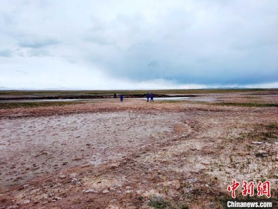圖為救援力量在青海省西部搜救失聯的江蘇南京某大學女生黃某某。海西州藍天應急救援中心 供圖