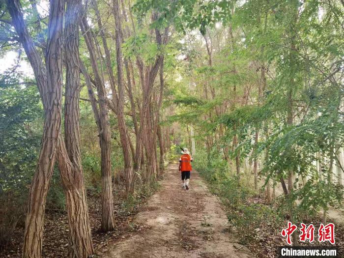 戈壁灘上的護林員：以前風(fēng)吹睜不開眼，現(xiàn)在滿眼皆綠色