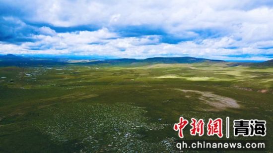 圖為長(zhǎng)江南源沼澤濕地。李江寧攝