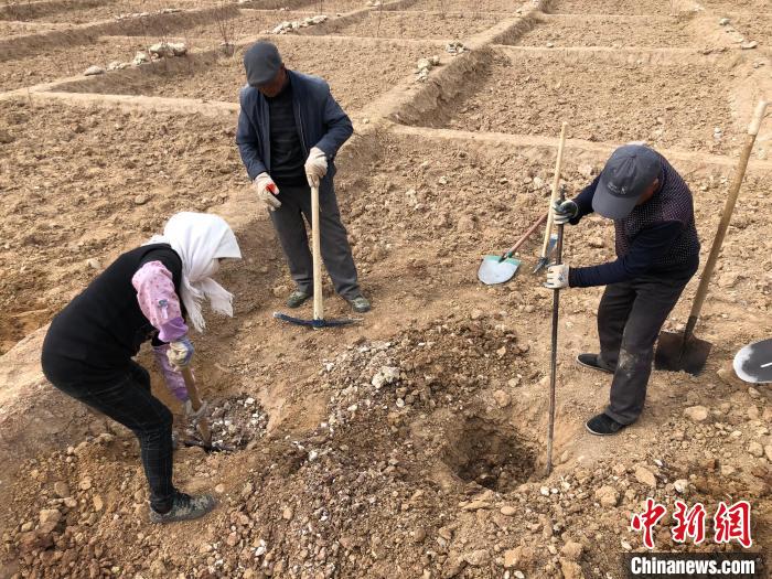 資料圖為建行青海省分行綠化區(qū)施工隊(duì)隊(duì)員處理亂石。　建行青海省分行供圖