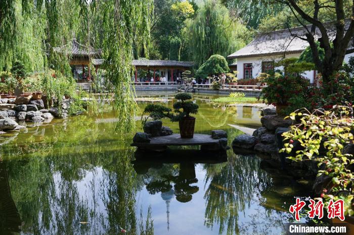 圖為西寧園林植物園秋日風(fēng)景別有韻味。　馬銘言 攝