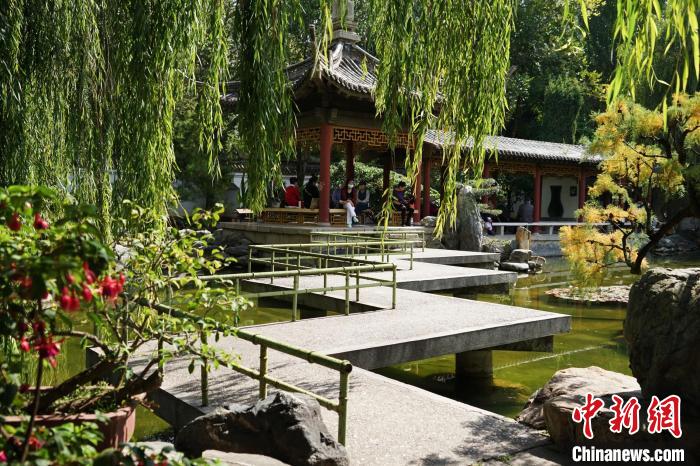 圖為西寧園林植物園秋日風(fēng)景別有韻味?！●R銘言 攝