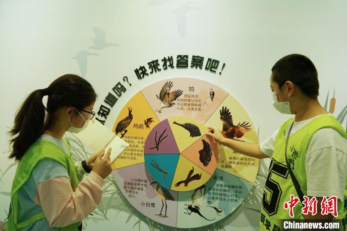 圖為小朋友在青海西寧湟水國家濕地公園科普館內(nèi)參觀學(xué)習(xí)。　馬銘言 攝