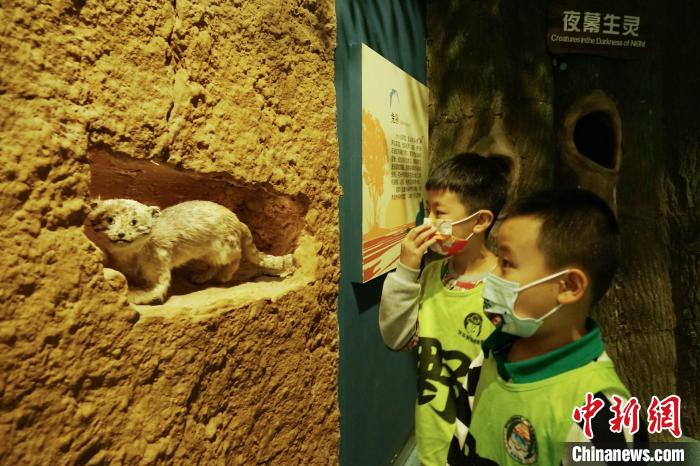 圖為小朋友在青海西寧湟水國家濕地公園科普館內(nèi)參觀學(xué)習(xí)?！●R銘言 攝