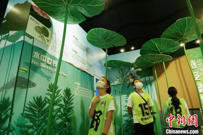 圖為小朋友在青海西寧湟水國家濕地公園科普館內(nèi)參觀學(xué)習(xí)?！●R銘言 攝