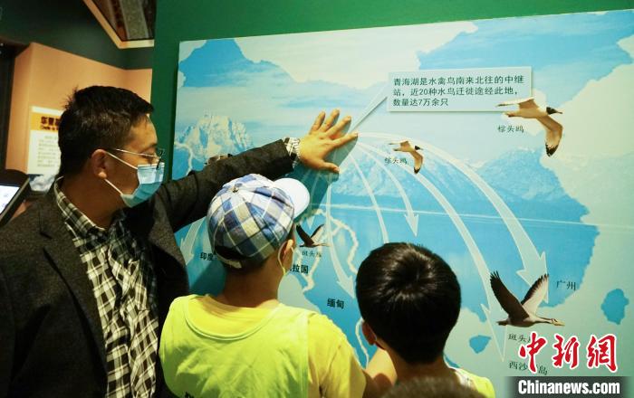 圖為小朋友在青海西寧湟水國家濕地公園科普館內(nèi)參觀學(xué)習(xí)。　馬銘言 攝