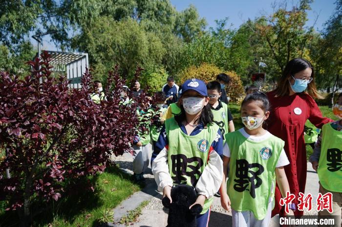 圖為小朋友在青海西寧湟水國家濕地公園內(nèi)認識植物?！●R銘言 攝