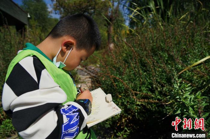 圖為小朋友在青海西寧湟水國家濕地公園內(nèi)認識植物并進行繪畫?！●R銘言 攝