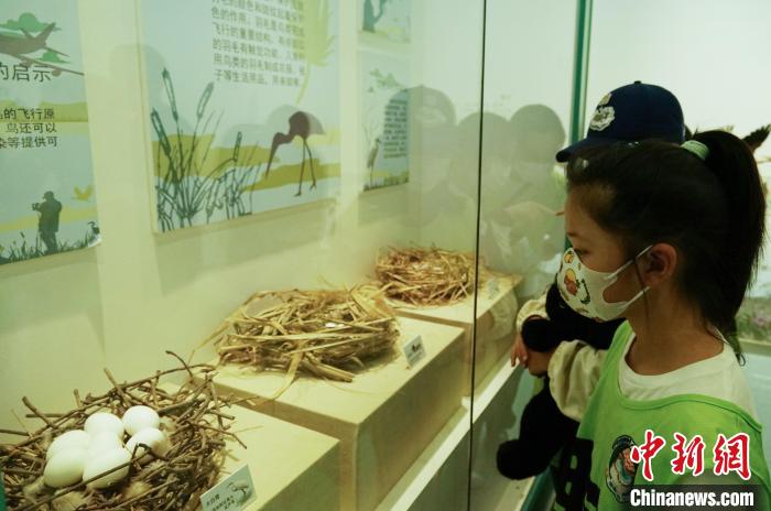 圖為小朋友在青海西寧湟水國家濕地公園科普館內(nèi)參觀學(xué)習(xí)?！●R銘言 攝