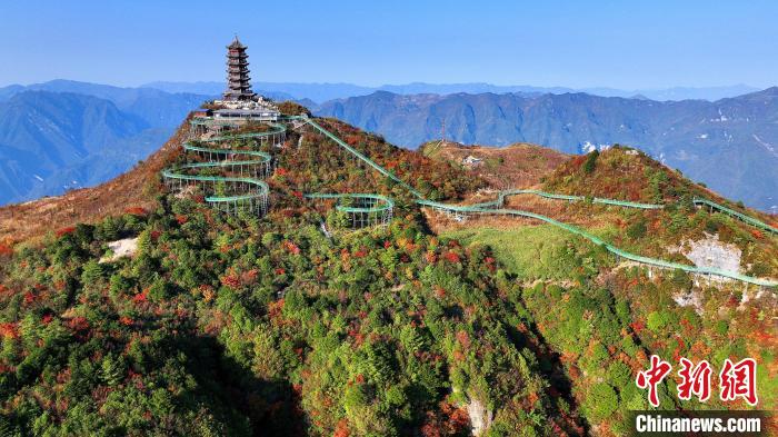 巴山大峽谷彩林迎來最佳觀賞期?！∫κ?攝