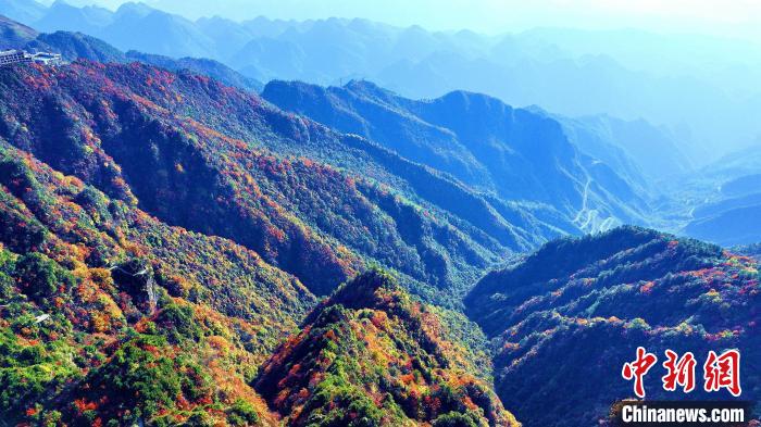 巴山大峽谷彩林迎來最佳觀賞期。　張平 攝