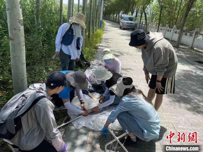 圖為科研人員正在進(jìn)行監(jiān)測?！∥鲗庝宜畤覞竦毓珗@供圖