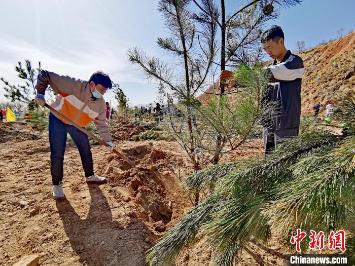 圖為西寧市城東區(qū)義務(wù)植樹活動(dòng)現(xiàn)場(chǎng)?！?zhí)砀?攝