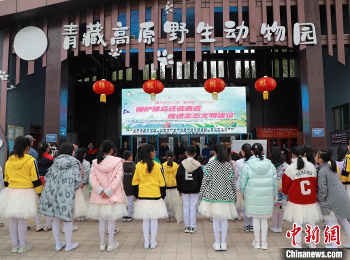 圖為青海省西寧市開展第42屆“愛鳥周”科普宣傳活動(dòng)。　馬銘言 攝