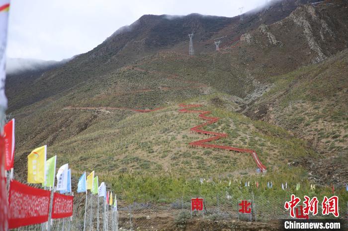 圖為拉薩南北山綠化工程拉薩曲水縣才納村5號(hào)片區(qū)?！∝暣_ 攝