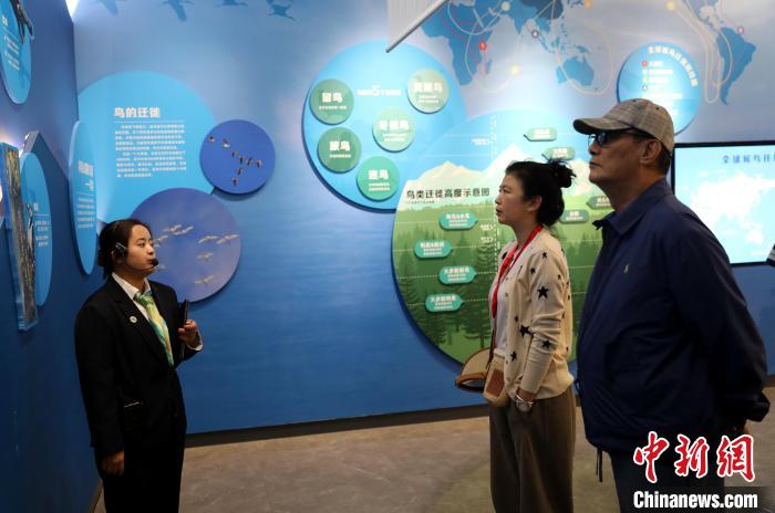 圖為臺商在祁連山國家公園生態(tài)科普館內(nèi)聆聽講解?！⊙Φ?攝