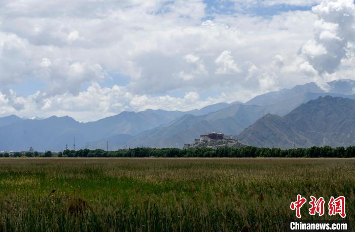 圖為拉薩拉魯濕地。　李林 攝