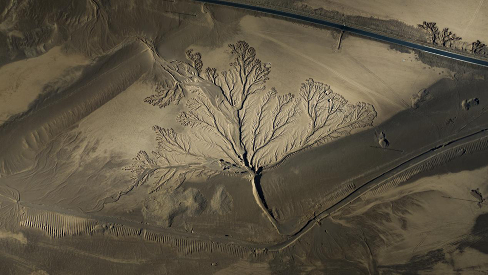 無人機(jī)視角下的西藏阿里地區(qū)改則縣“大地之樹”景觀。尼瑪多吉攝