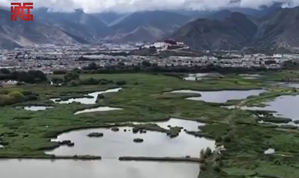 聯(lián)想截圖_20250730145234.png